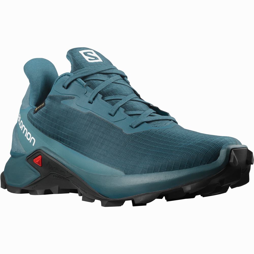 Chaussures Trail Running Salomon Alphacross 3 Gore-tex Homme Bleu | France-1256907