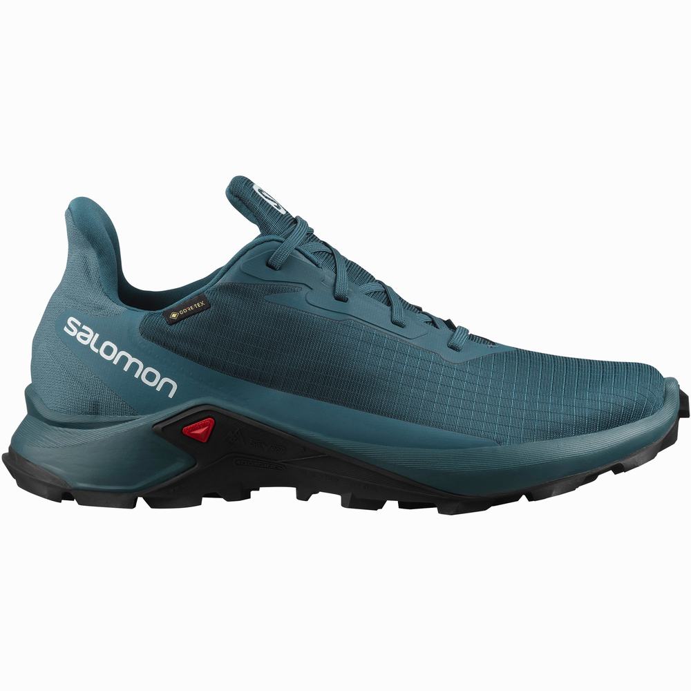 Chaussures Trail Running Salomon Alphacross 3 Gore-tex Homme Bleu | France-1256907