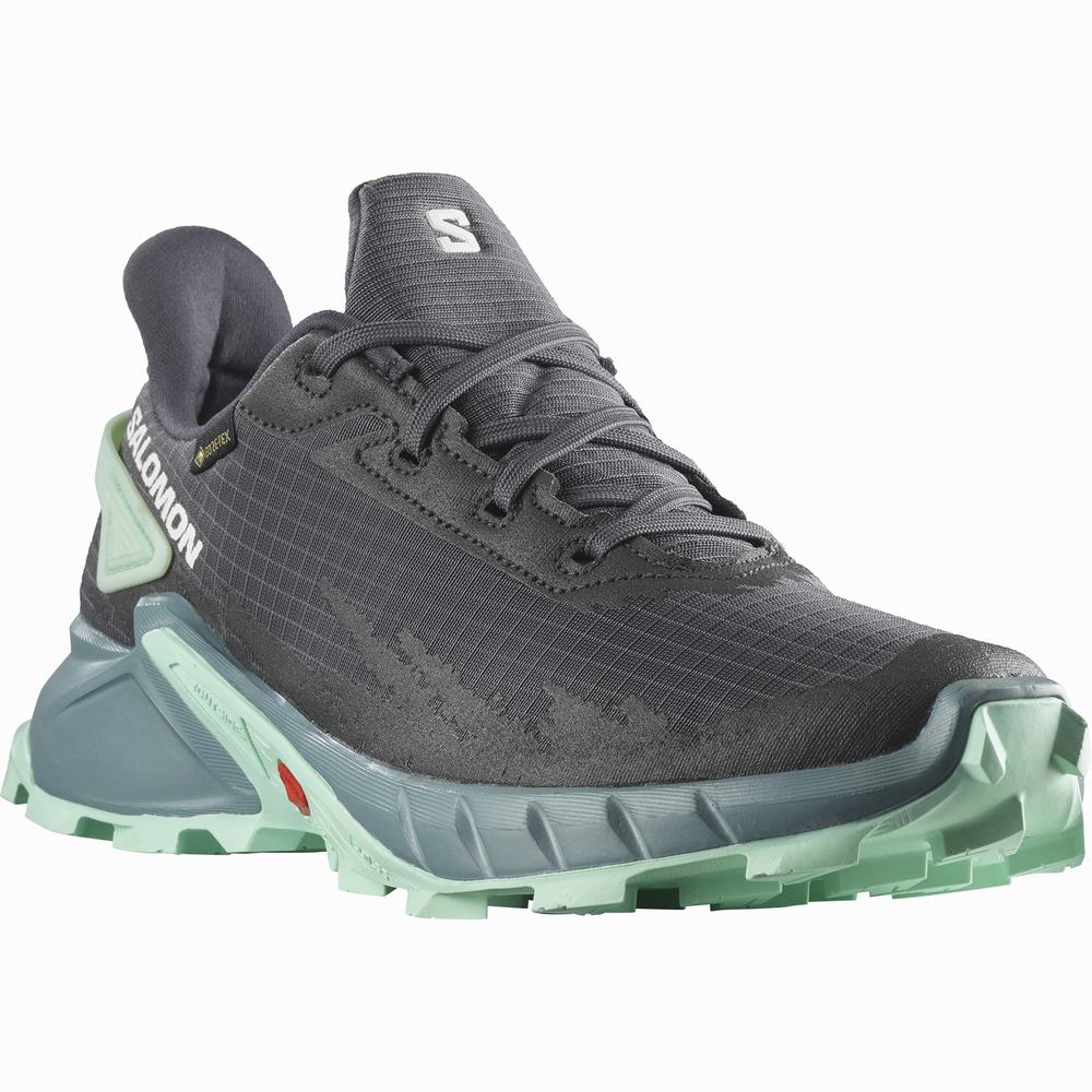 Chaussures Trail Running Salomon Alphacross 4 Gore-tex Femme Grise | France-4307691