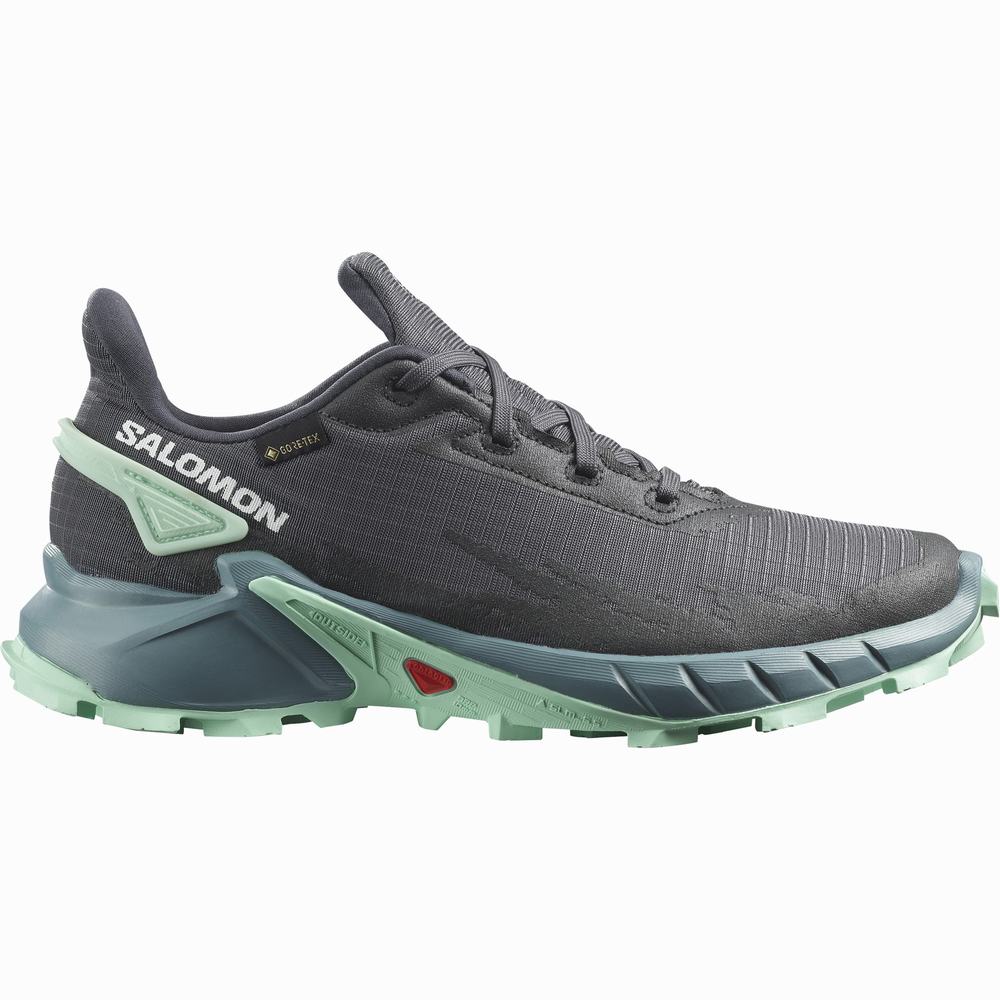 Chaussures Trail Running Salomon Alphacross 4 Gore-tex Femme Grise | France-4307691