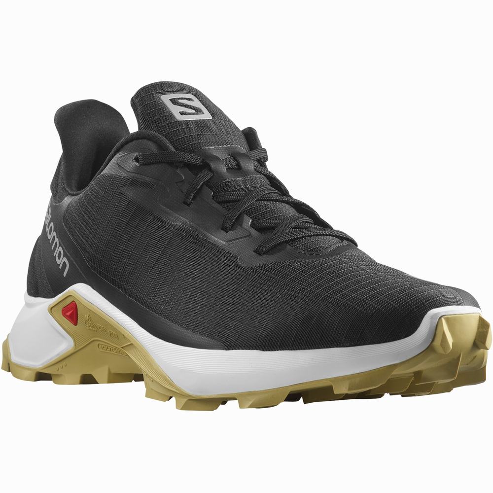 Chaussures Trail Running Salomon Alphacross 3 Homme Noir Blanche Vert | France-6803529