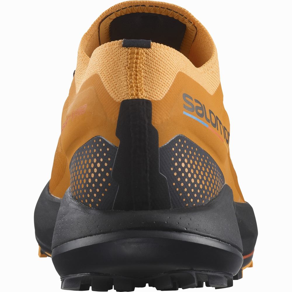 Chaussures Trail Running Salomon Pulsar Trail Pro Homme Orange Noir | France-2369784