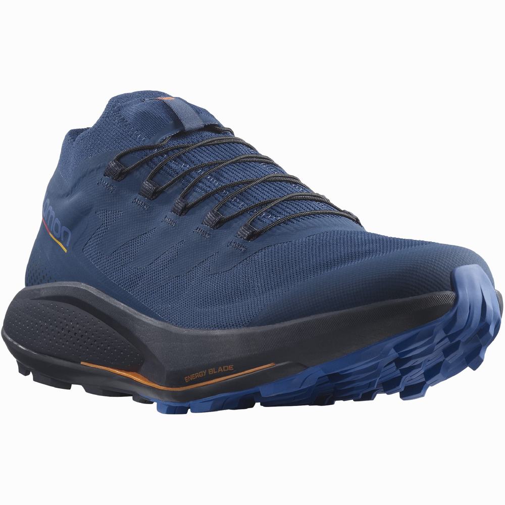 Chaussures Trail Running Salomon Pulsar Trail Pro Homme Bleu | France-4902573