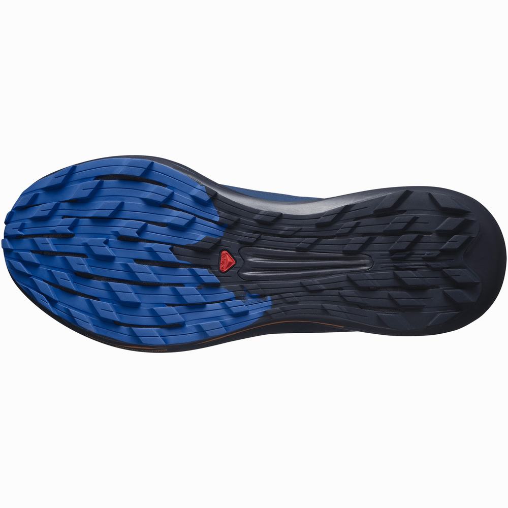 Chaussures Trail Running Salomon Pulsar Trail Pro Homme Bleu | France-4902573