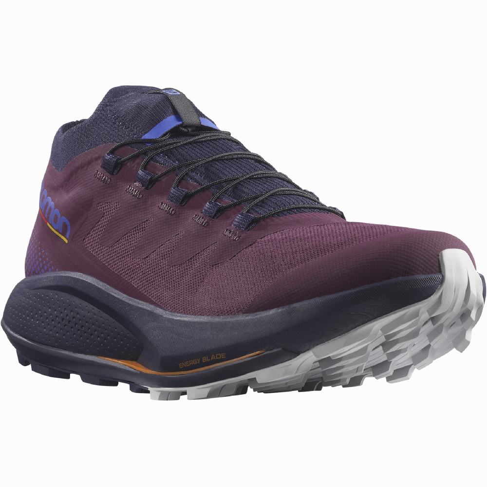 Chaussures Trail Running Salomon Pulsar Trail Pro Femme Violette | France-6845032