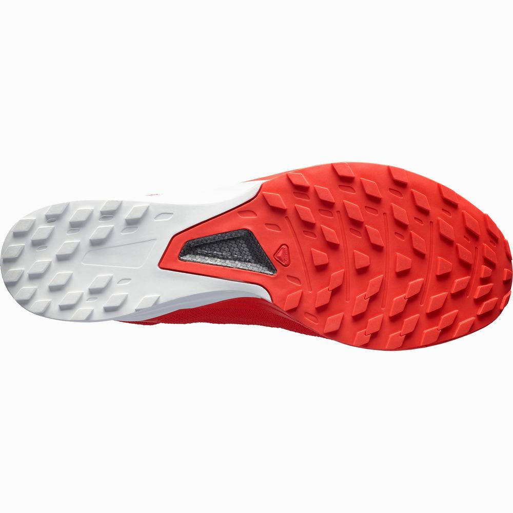 Chaussures Trail Running Salomon S/Lab Sense 8 Homme Rouge Blanche | France-6248501