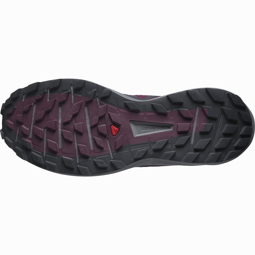 Chaussures Trail Running Salomon Sense Ride 4 Femme Bordeaux Noir | France-4906581