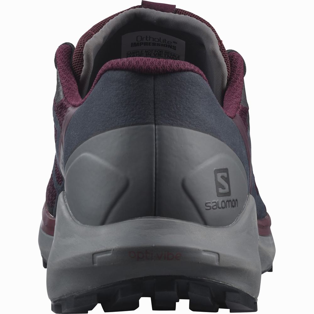 Chaussures Trail Running Salomon Sense Ride 4 Femme Bordeaux Noir | France-4906581