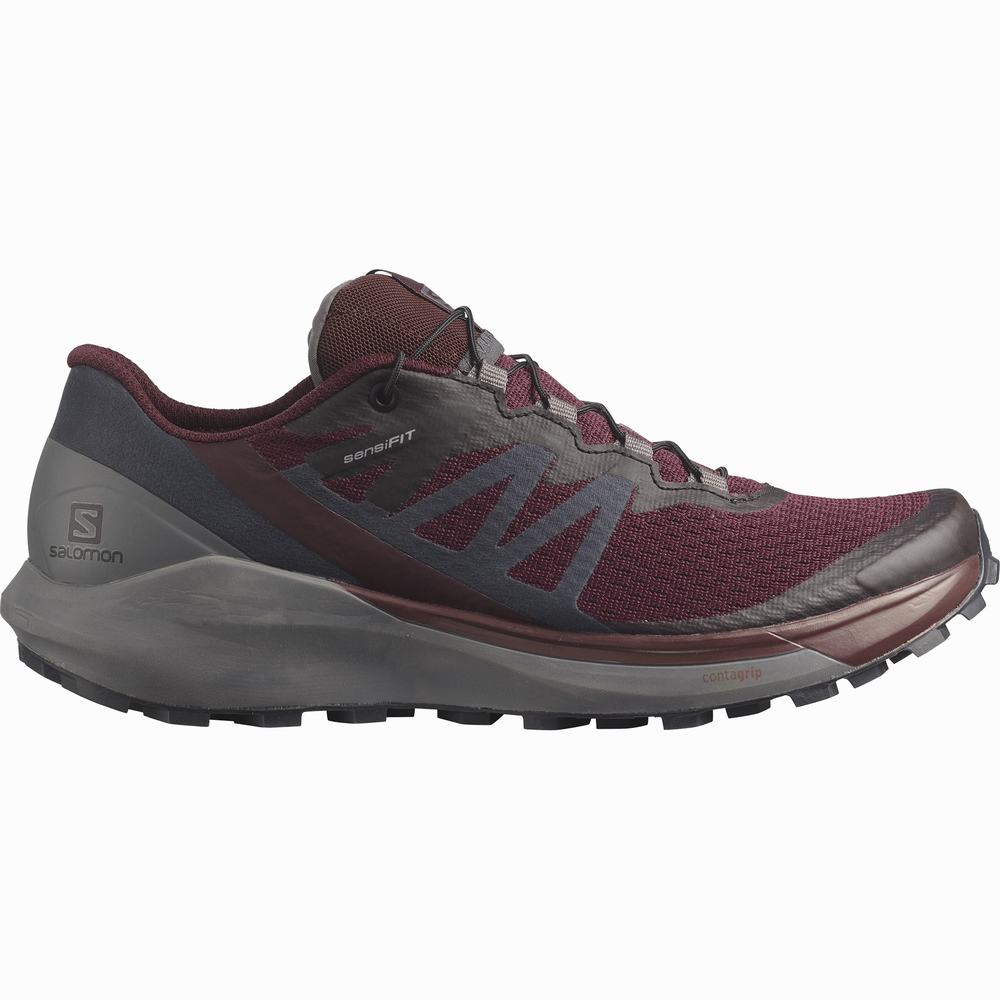 Chaussures Trail Running Salomon Sense Ride 4 Femme Bordeaux Noir | France-4906581