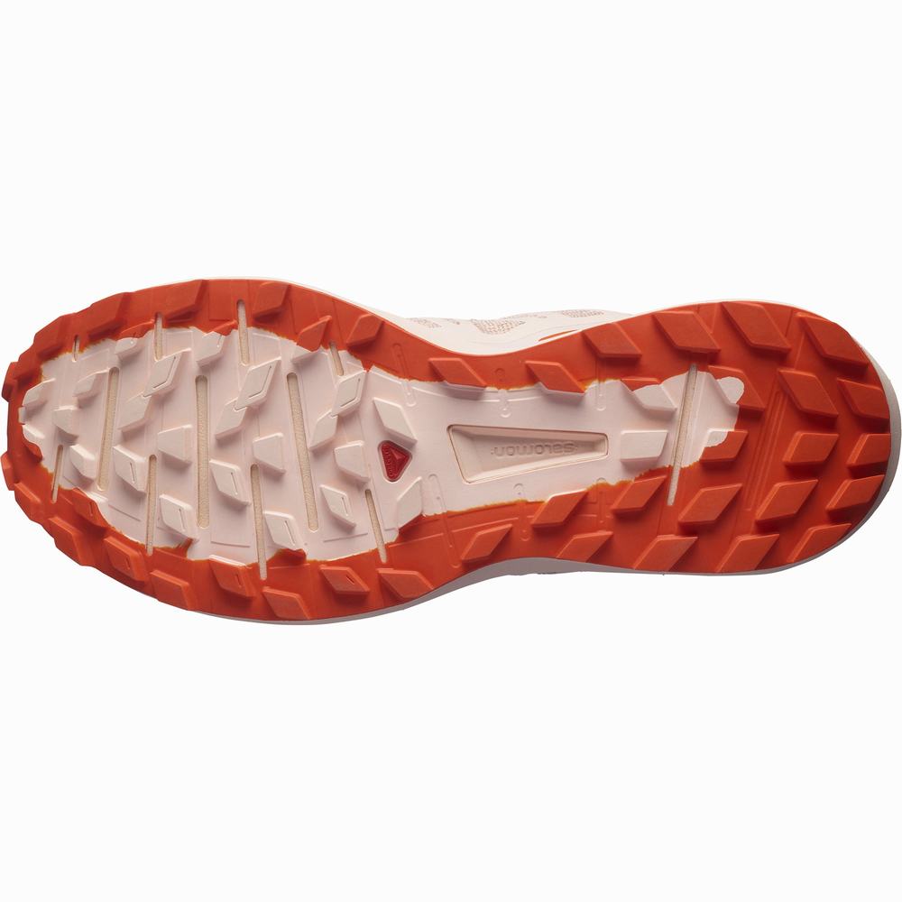 Chaussures Trail Running Salomon Sense Ride 4 Femme Rose Rouge Orange | France-5428193