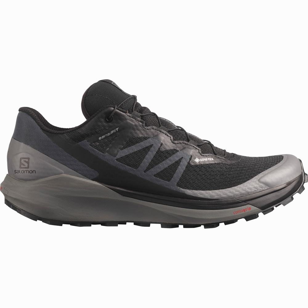 Chaussures Trail Running Salomon Sense Ride 4 Gore-tex Invisible Fit Homme Noir | France-9784016