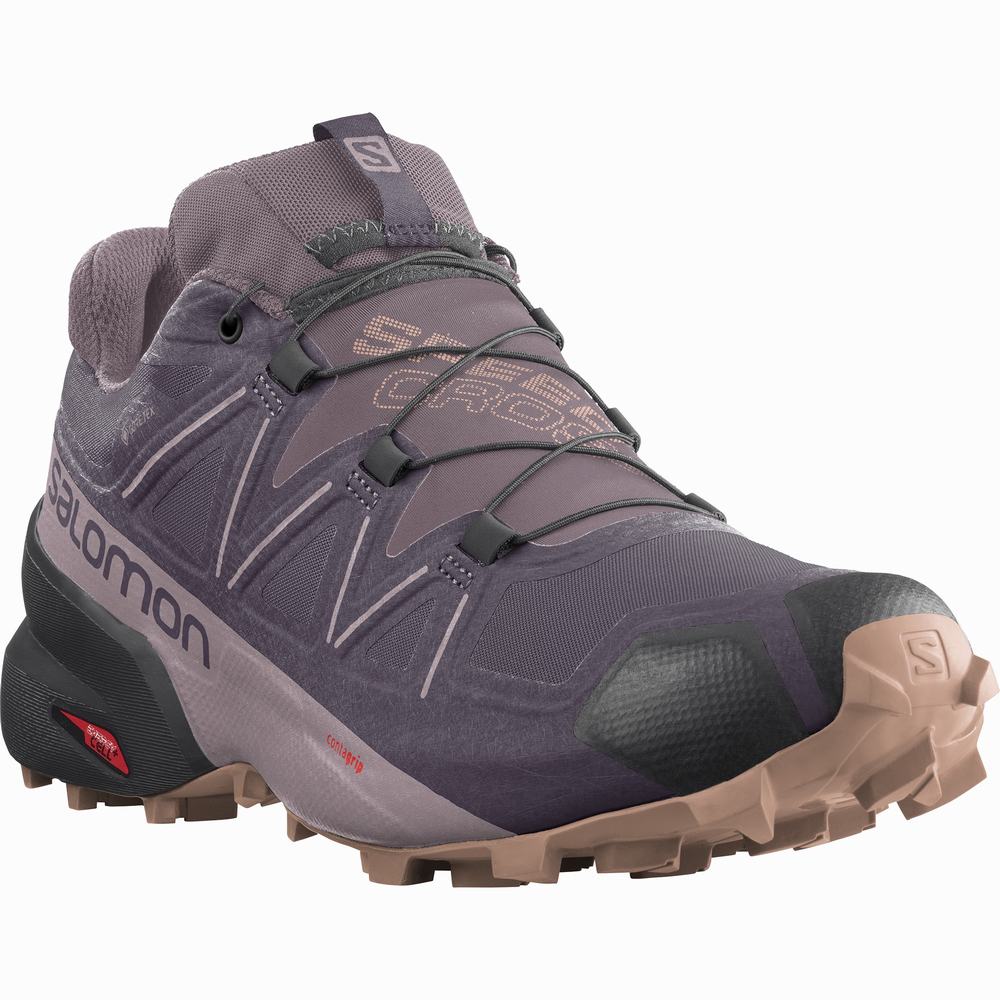 Chaussures Trail Running Salomon Speedcross 5 Gore-tex Femme Violette | France-2906438