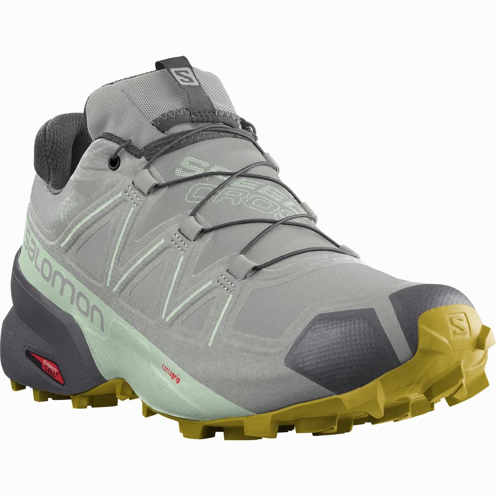 Chaussures Trail Running Salomon Speedcross 5 Gore-tex Femme Grise Turquoise | France-4731265