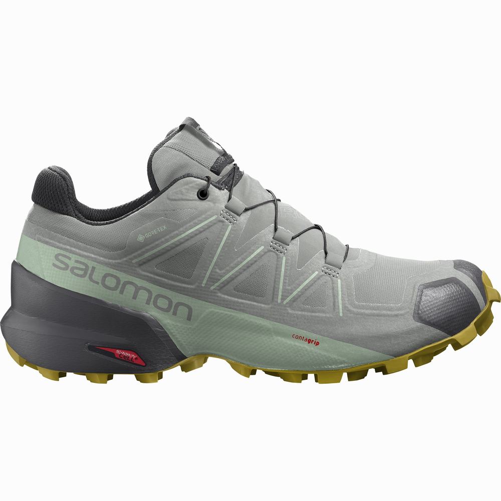 Chaussures Trail Running Salomon Speedcross 5 Gore-tex Femme Grise Turquoise | France-4731265