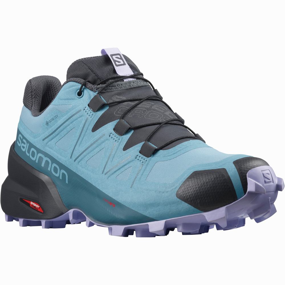 Chaussures Trail Running Salomon Speedcross 5 Gore-tex Femme Bleu Lavande | France-8467059