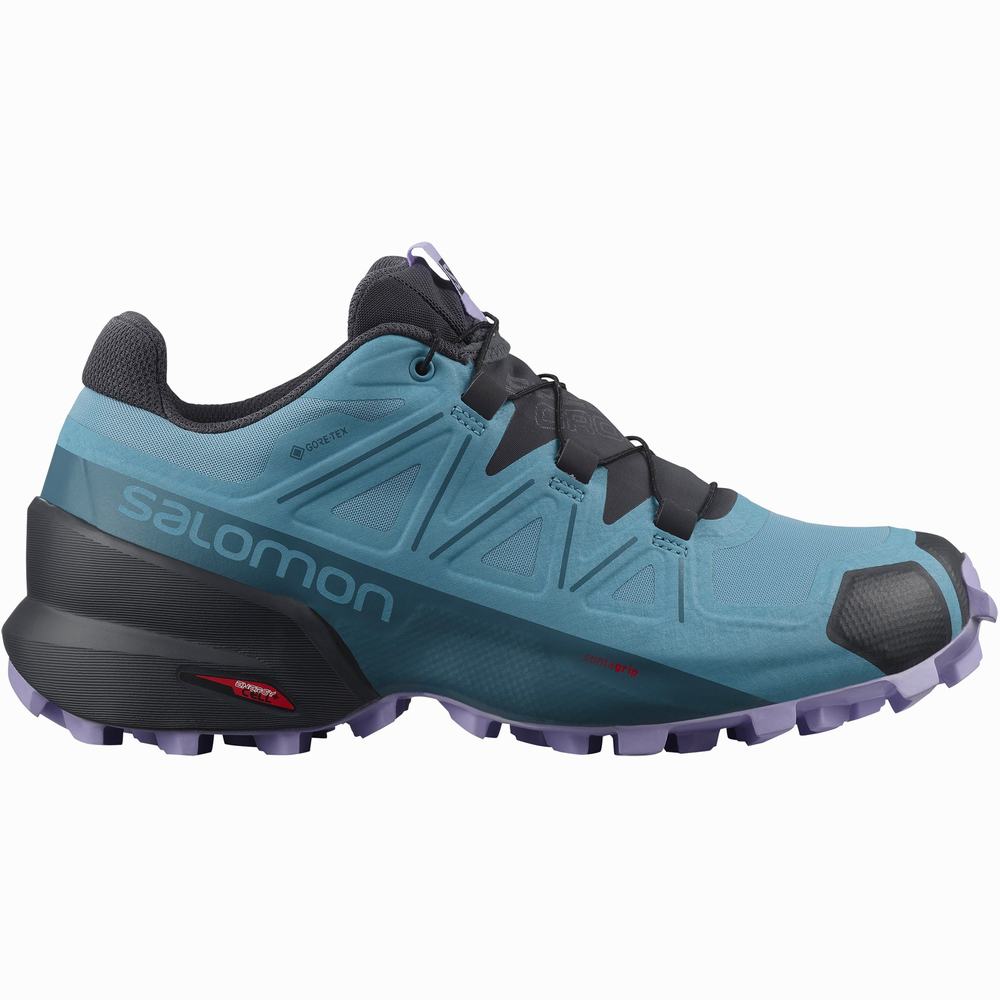 Chaussures Trail Running Salomon Speedcross 5 Gore-tex Femme Bleu Lavande | France-8467059