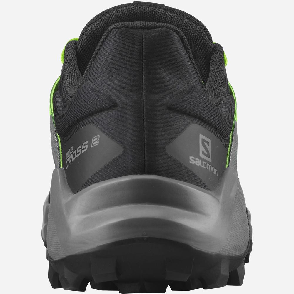 Chaussures Trail Running Salomon Wildcross 2 Homme Noir Vert | France-2781356