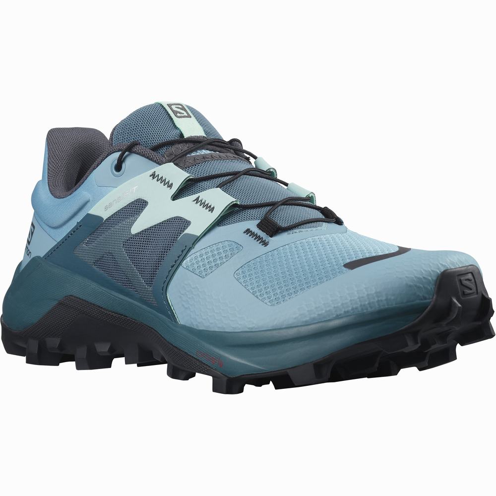 Chaussures Trail Running Salomon Wildcross 2 Femme Bleu | France-6421953