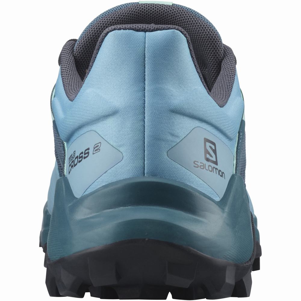 Chaussures Trail Running Salomon Wildcross 2 Femme Bleu | France-6421953