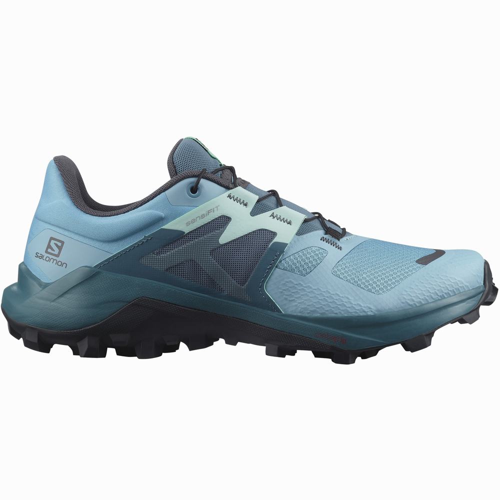 Chaussures Trail Running Salomon Wildcross 2 Femme Bleu | France-6421953