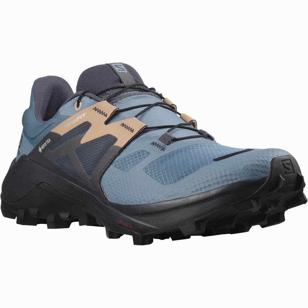 Chaussures Trail Running Salomon Wildcross 2 Gore-tex Femme Bleu Grise | France-7483691