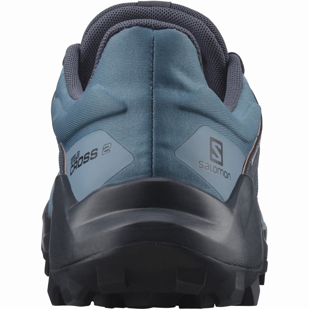 Chaussures Trail Running Salomon Wildcross 2 Gore-tex Femme Bleu Grise | France-7483691