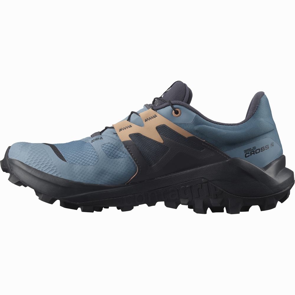 Chaussures Trail Running Salomon Wildcross 2 Gore-tex Femme Bleu Grise | France-7483691