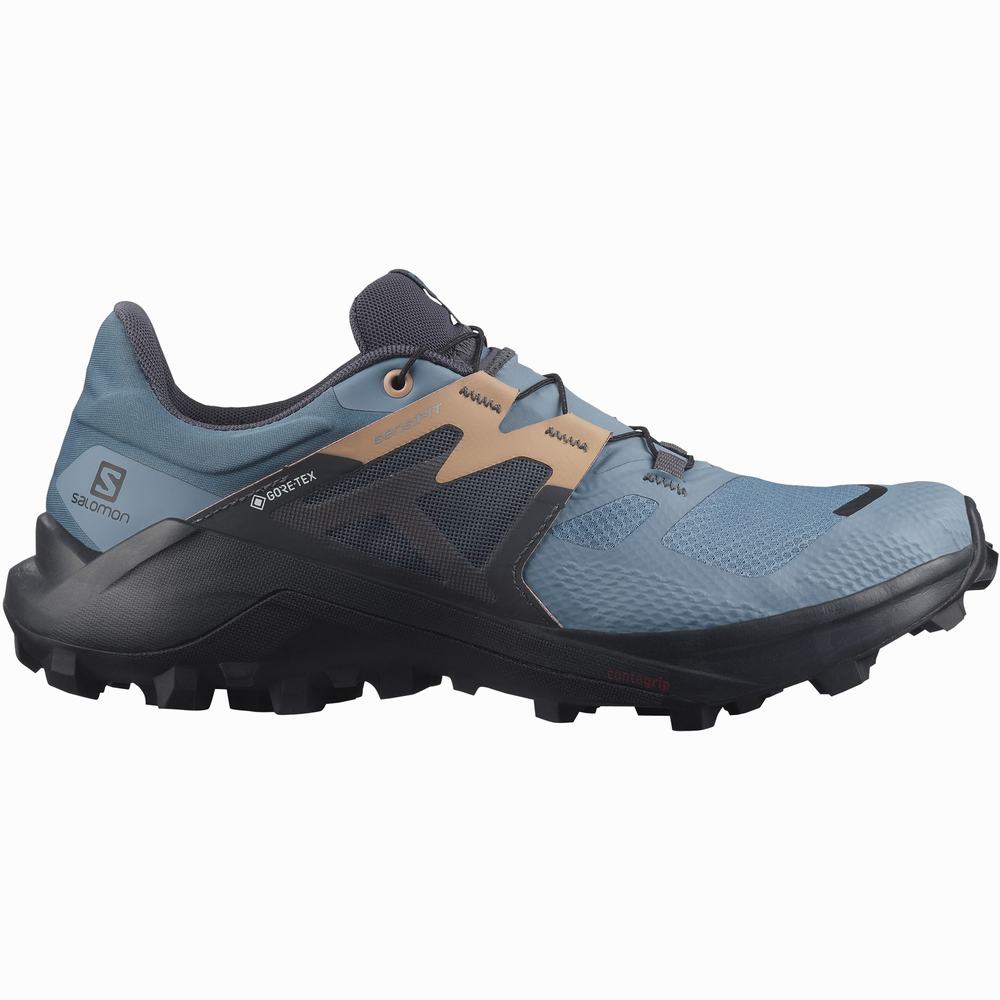 Chaussures Trail Running Salomon Wildcross 2 Gore-tex Femme Bleu Grise | France-7483691