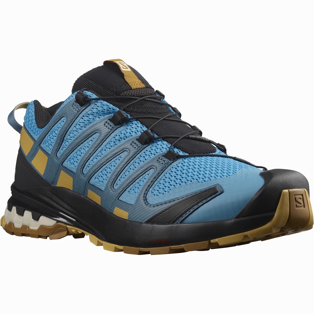 Chaussures Trail Running Salomon Xa Pro 3d V8 Homme Bleu Noir | France-0586942