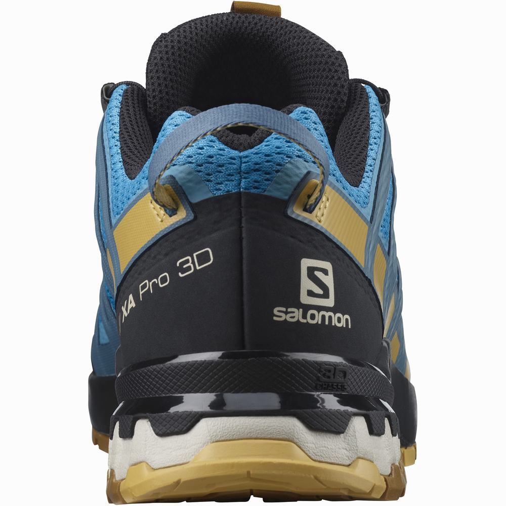 Chaussures Trail Running Salomon Xa Pro 3d V8 Homme Bleu Noir | France-0586942