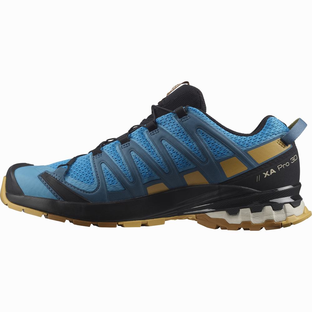 Chaussures Trail Running Salomon Xa Pro 3d V8 Homme Bleu Noir | France-0586942