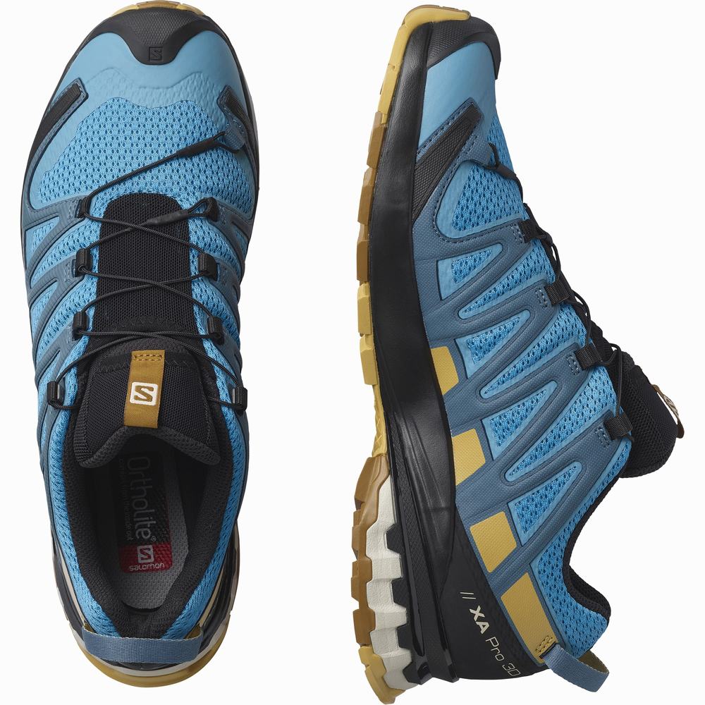 Chaussures Trail Running Salomon Xa Pro 3d V8 Homme Bleu Noir | France-0586942