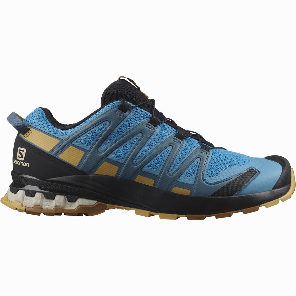 Chaussures Trail Running Salomon Xa Pro 3d V8 Homme Bleu Noir | France-0586942