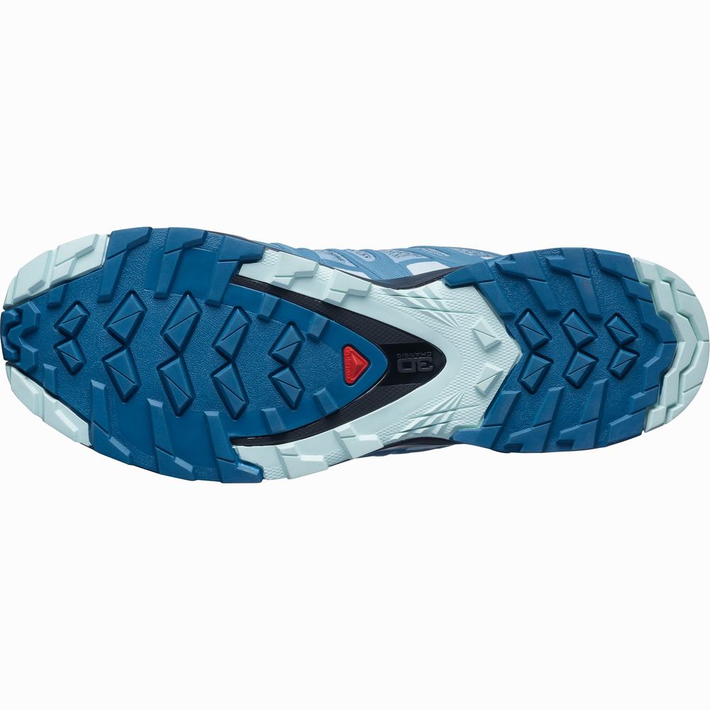 Chaussures Trail Running Salomon Xa Pro 3d V8 Femme Grise Bleu Bleu | France-3652487