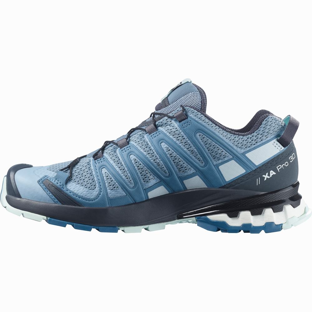 Chaussures Trail Running Salomon Xa Pro 3d V8 Femme Grise Bleu Bleu | France-3652487