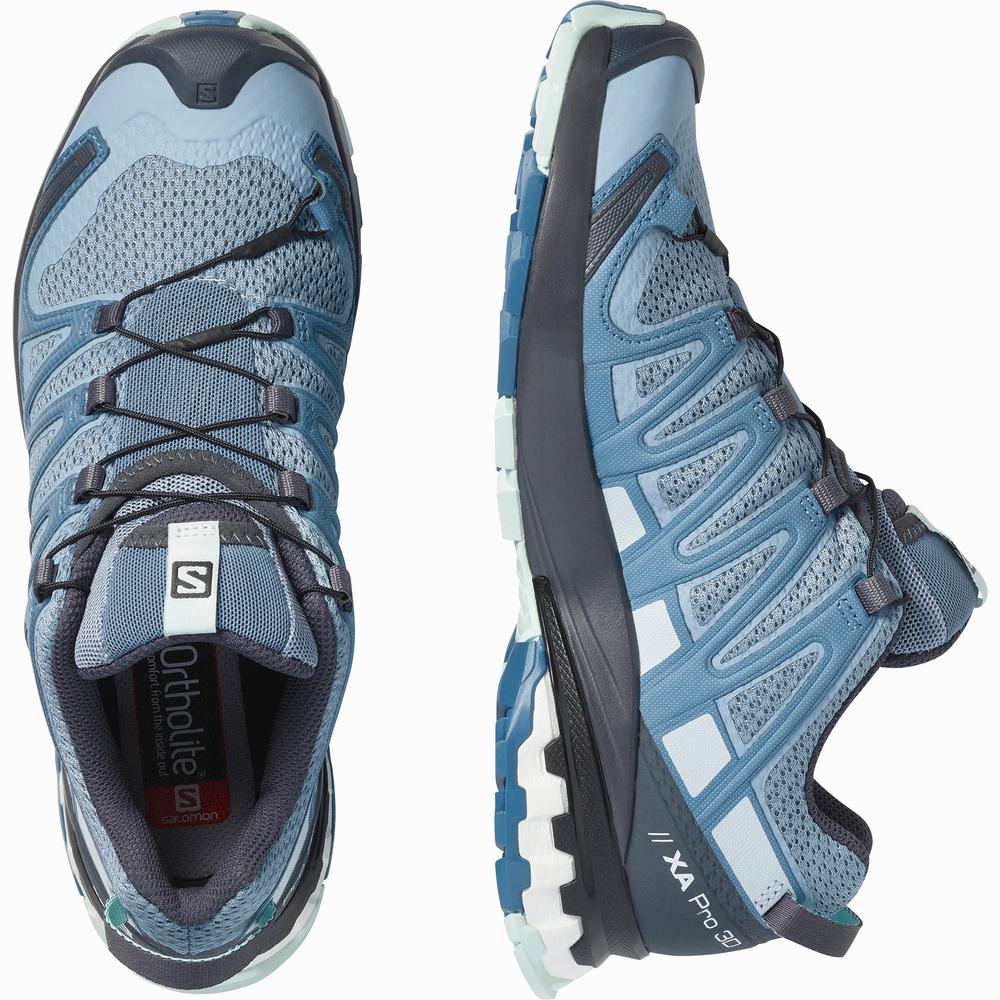 Chaussures Trail Running Salomon Xa Pro 3d V8 Femme Grise Bleu Bleu | France-3652487