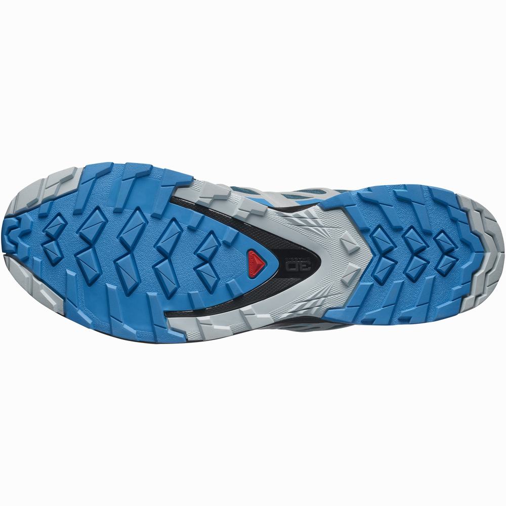 Chaussures Trail Running Salomon Xa Pro 3d V8 Gore-tex Homme Bleu | France-5472390