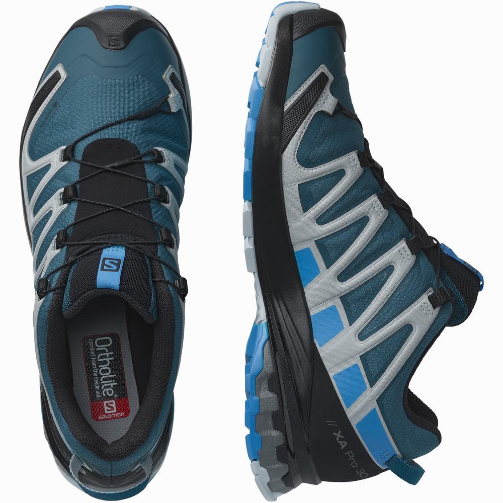 Chaussures Trail Running Salomon Xa Pro 3d V8 Gore-tex Homme Bleu | France-5472390