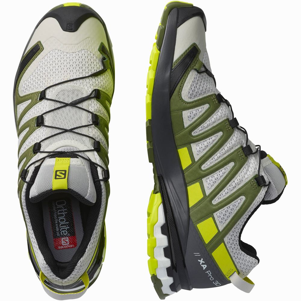 Chaussures Trail Running Salomon Xa Pro 3d V8 Homme Blanche Vert | France-8670543